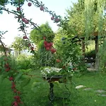 Cherry En Rose
