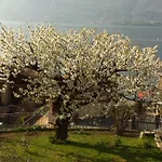 Cherry En Rose Bed and Breakfast Lezzeno