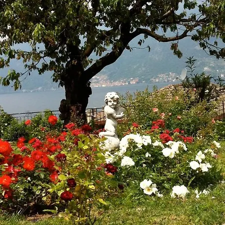 Bed & Breakfast Cherry En Rose