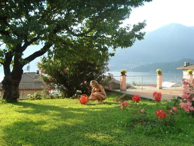 Cherry En Rose レッツェノ