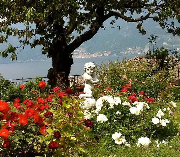 ベッド・アンド・ブレックファスト Cherry En Rose