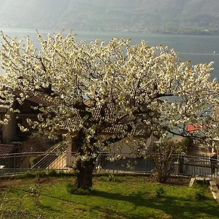 Cherry En Rose Bed and breakfast Lezzeno