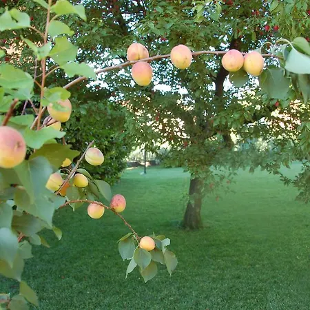فندق مبيت وإفطار Cherry En Rose