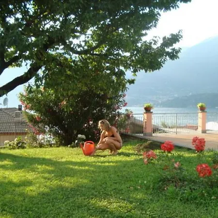 Cherry En Rose ليتْسّينو