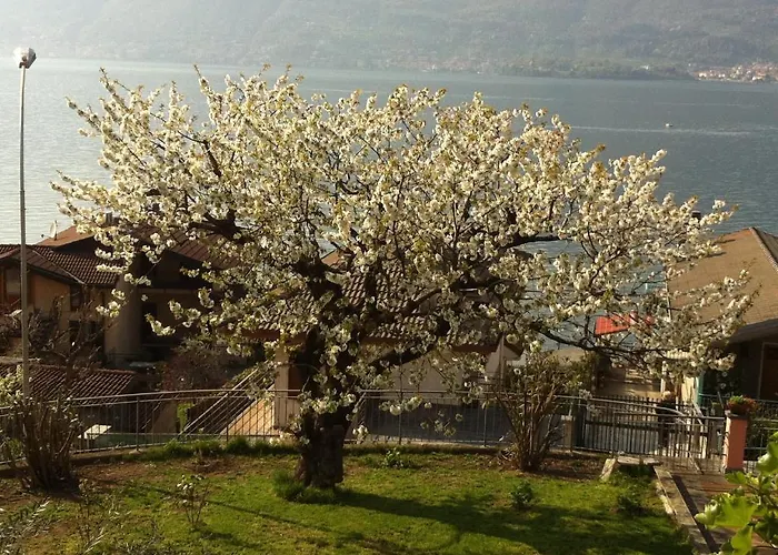 Cherry En Rose Bed and Breakfast Lezzeno